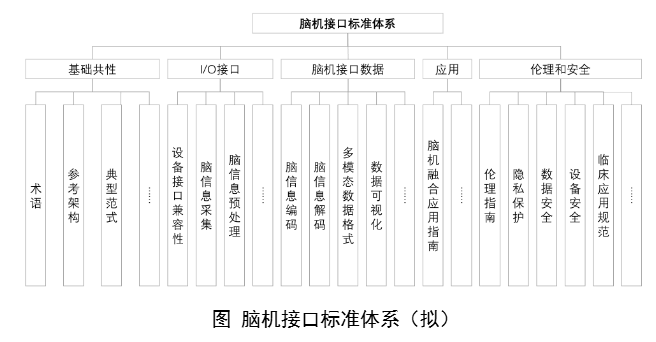 脑机接口行业，迈向标准化发展快车道！