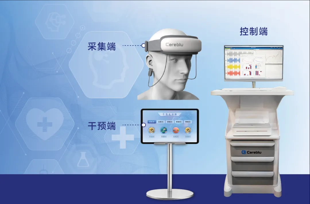 脑机交互 携手向新丨博而雅科技强势开启2025新征程